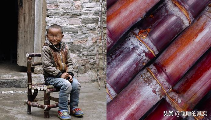 近年来实用的设计,最近的设计比赛