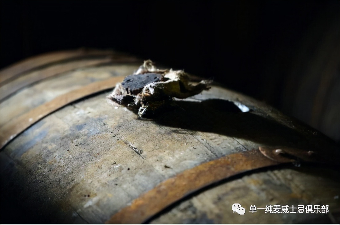 什么样的威士忌会增值,威士忌越喝越年轻