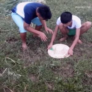 搞笑白色连衣裙视频,搞笑gif第356期