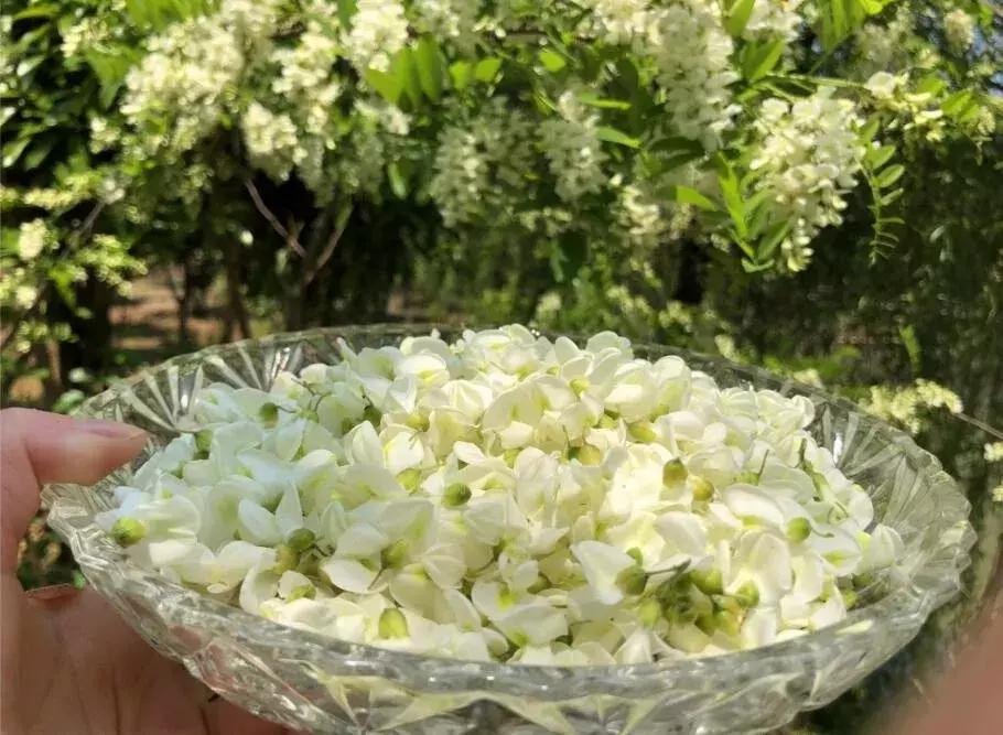 泰州溱湖湿地民宿,泰州溱湖云海温泉酒店