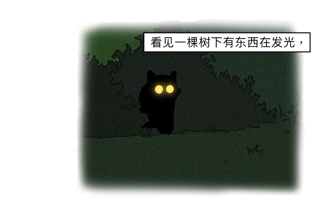 诺奖科学家是真的吗,诺奖科学家