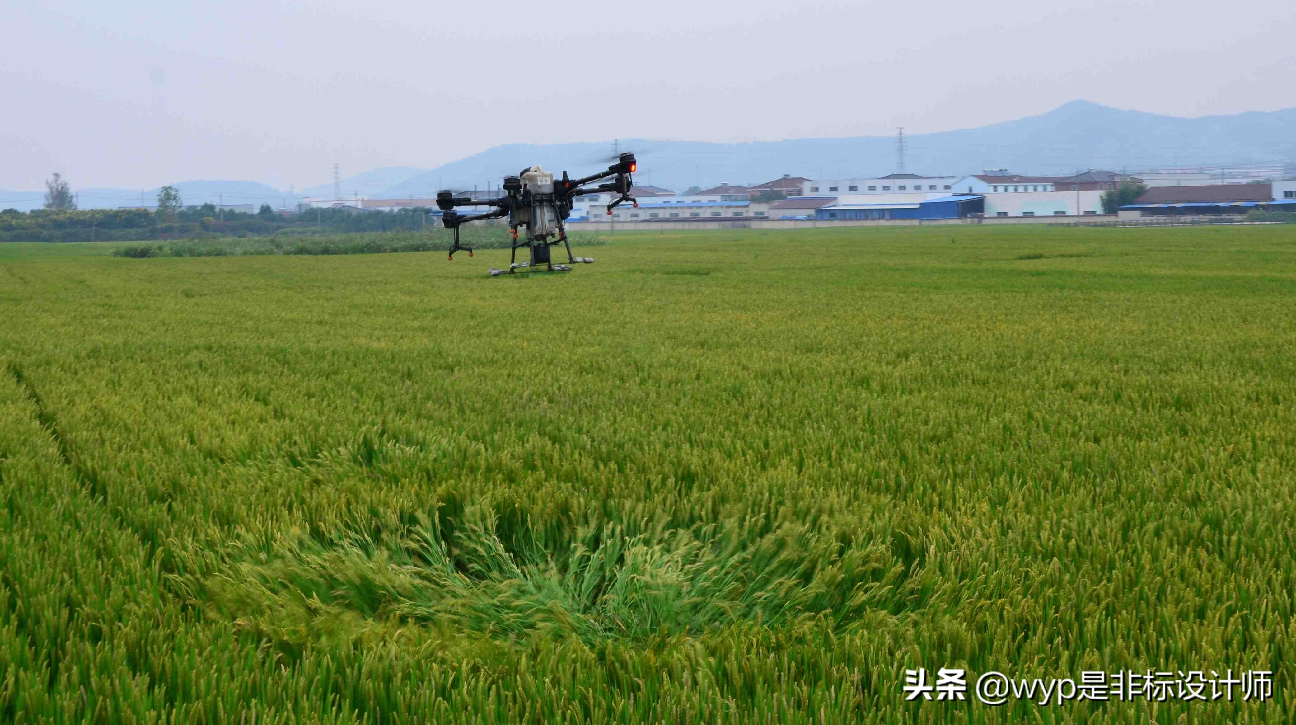 新型职业农民致富有高招,农村产业链致富新思路