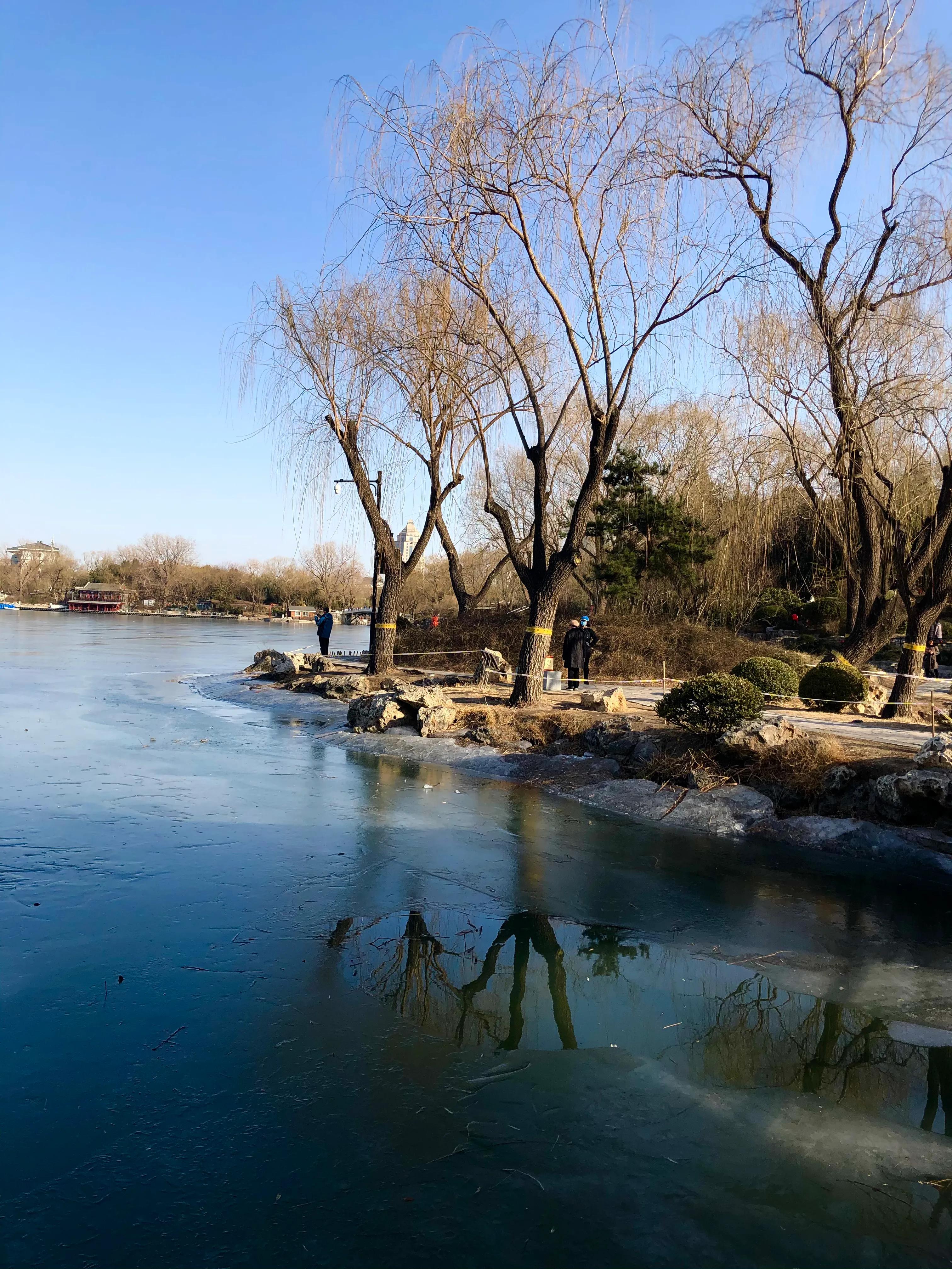 冬日紫竹院公园最新消息,冬日紫竹院公园