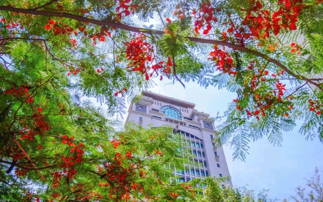 一个人旅行之厦门,一个人去厦门旅行攻略大全