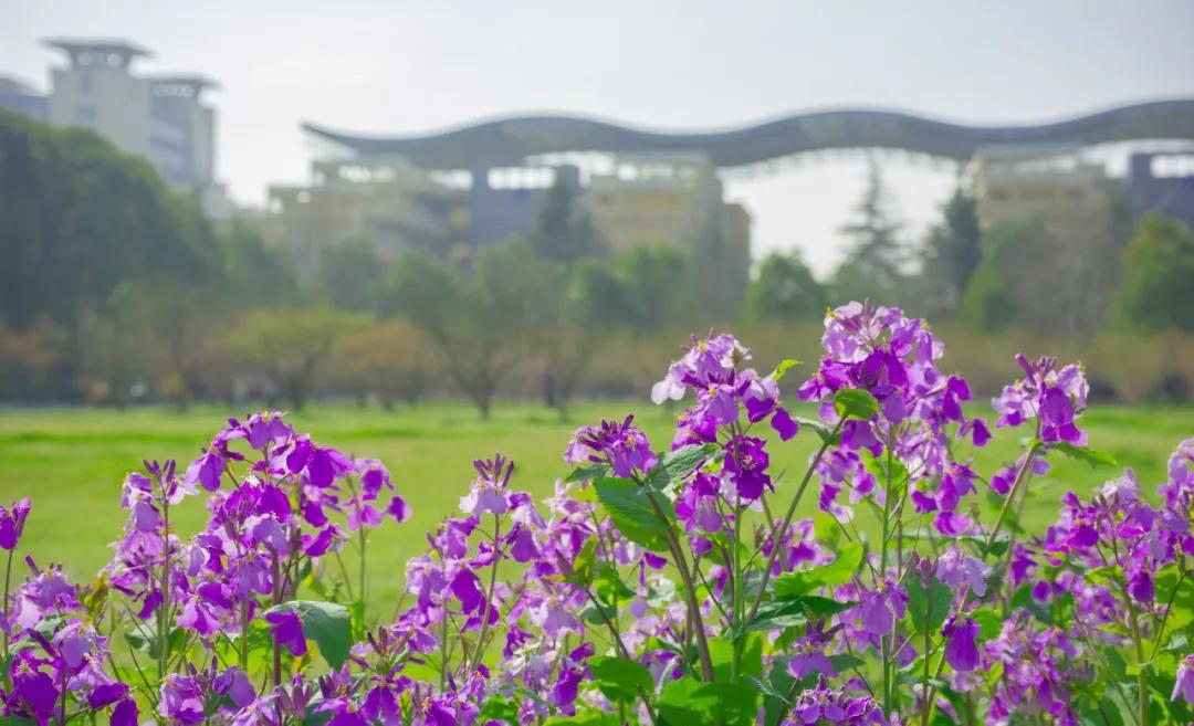 江大学子的“微信状态”大赏！这，不就是我吗？