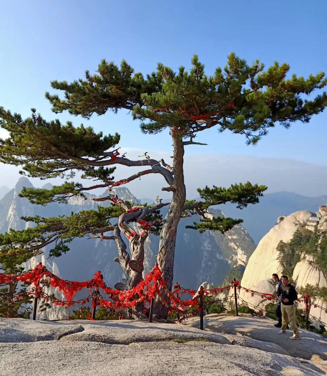 华山旅游免费预约攻略一日游,华山旅游攻略免费预约