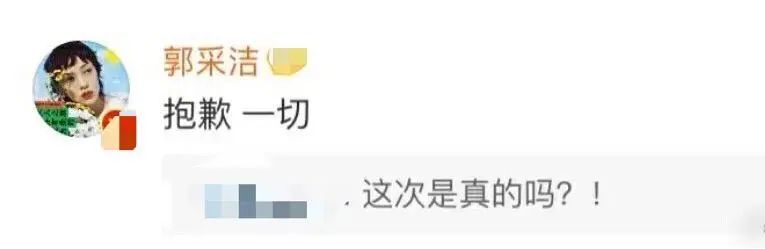 郭采洁被恶评的歌,郭采洁被骂的电影