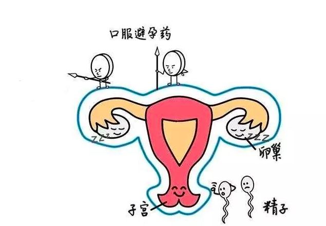 紧急避孕药真的危害这么大吗,避孕药为什么叫后悔药