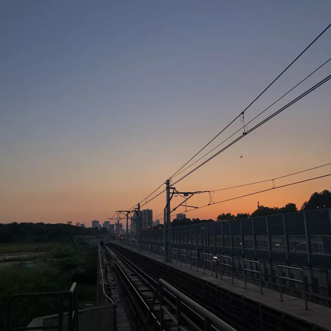 七月念“雀”,意思是七月像小鸟一样飞走了