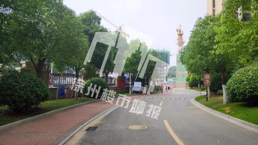 半年涨了几十万！这个小区业主真幸福