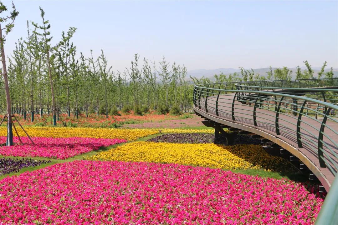 淄博景点免费,淄博菁英卡免费旅游景点