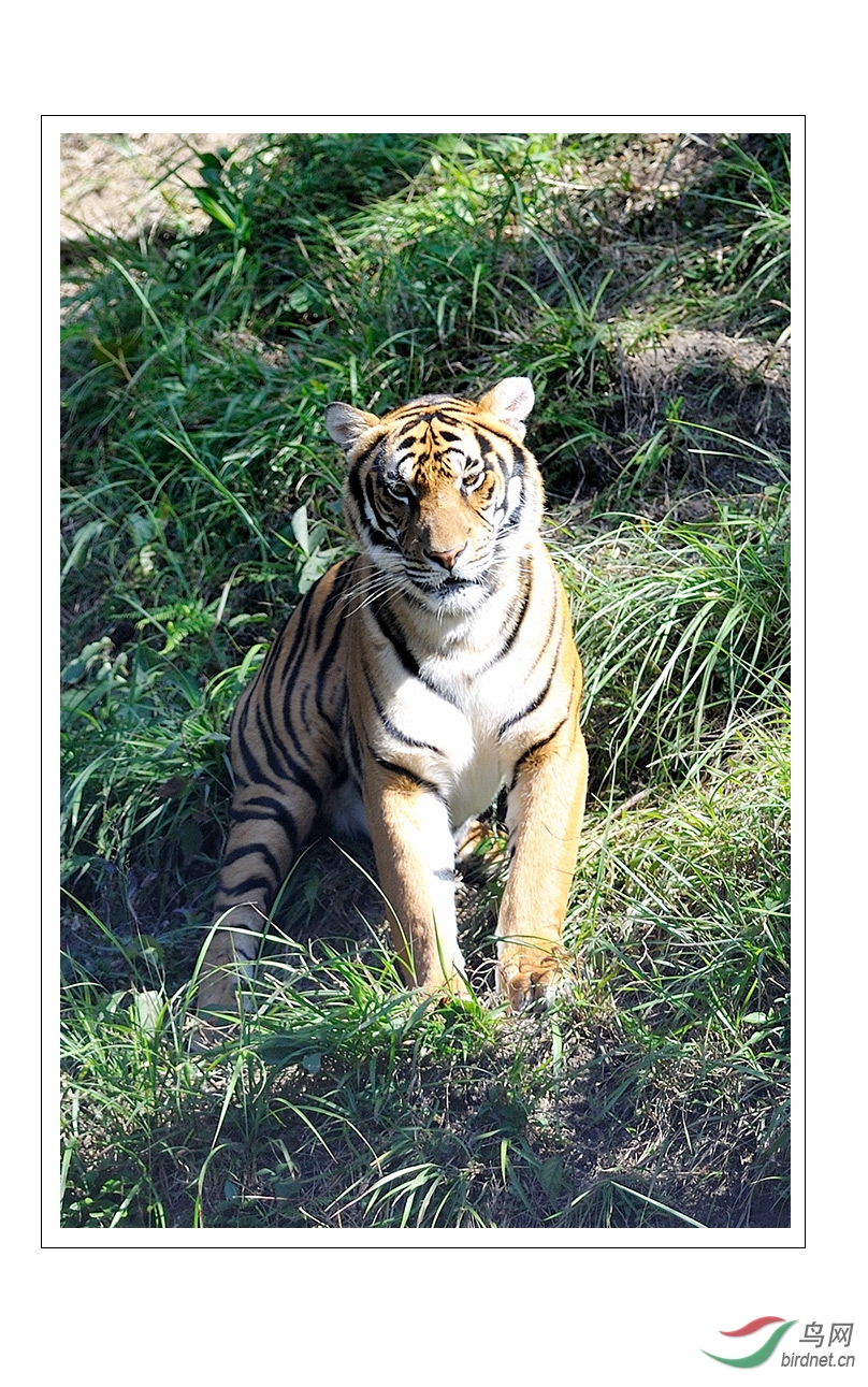 龙岩市旅游景区布局图,龙岩市旅游景区管理系统