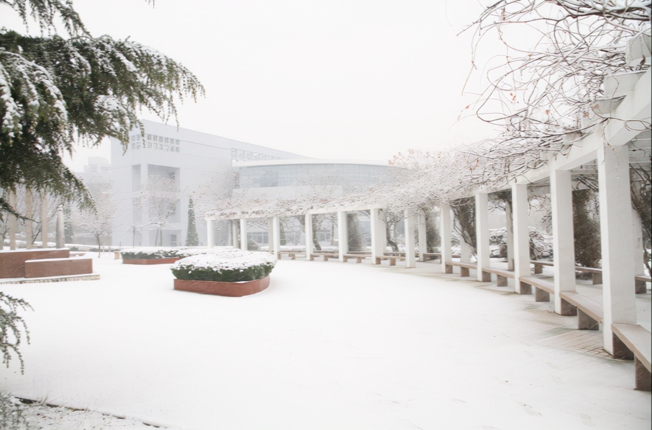 青岛酒店管理职业技术学院新校区,青岛双高院校