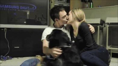 狗子吃醋女朋友,狗子喜欢女朋友怎么办