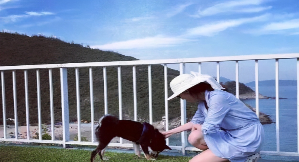 律政名媛输给了爱马仕柜姐，离开刘銮雄相交郑家纯，王颖妤不一般