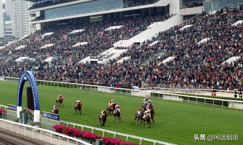 到香港看金融,去香港马场看马