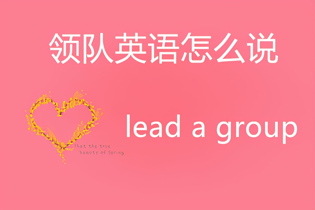 领队英语,领队英语怎么学