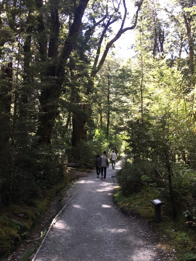 让你不用出门欣赏到美丽的风景,让你不出门你会待几天