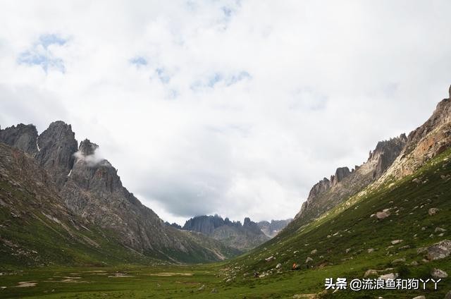 年保玉则现在开放了吗,年保玉则为啥被封