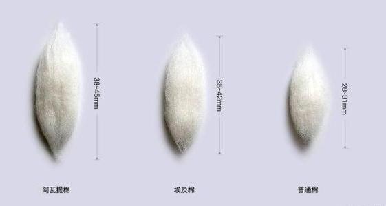 国货毛巾品牌,创业7年一路走来