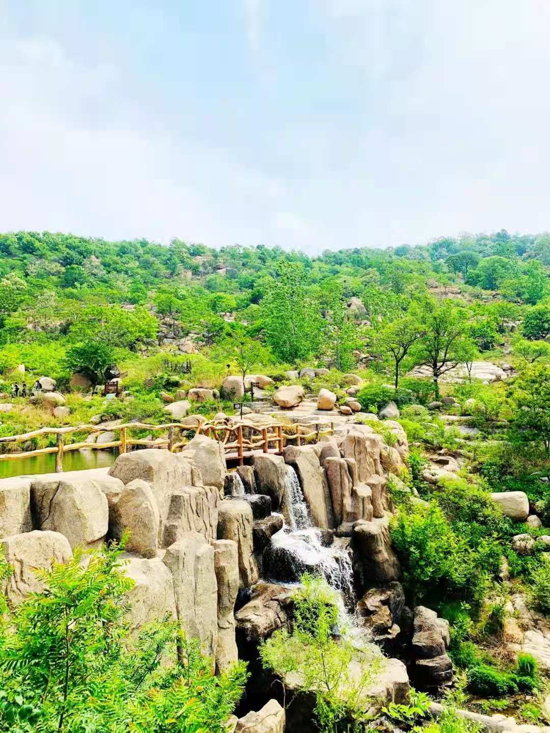 游厦门散文,乡情散文田野情怀