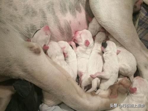 空囊最主要的原因是什么,空窝的原因