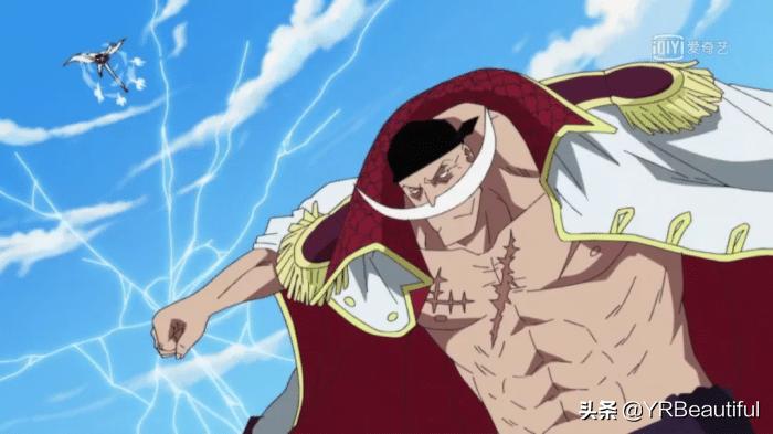 2023恶魔果实图鉴大全,最全恶魔果实图鉴