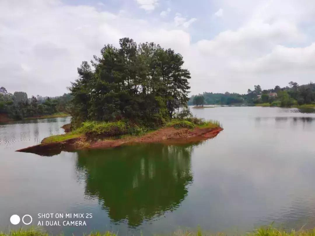 10块钱能吃遍宜宾这个镇？还有这些城头人不晓得的…