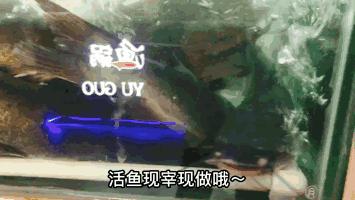 齐祺渔锅什么鱼好吃,齐祺渔锅哪个口味好吃