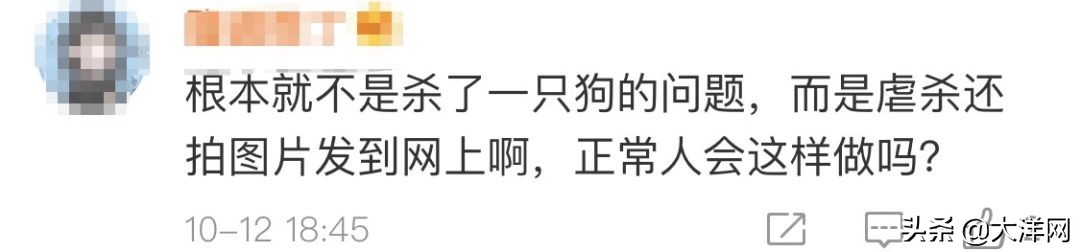 成都理工大学虐狗处理结果,成都理科研究生虐狗事件