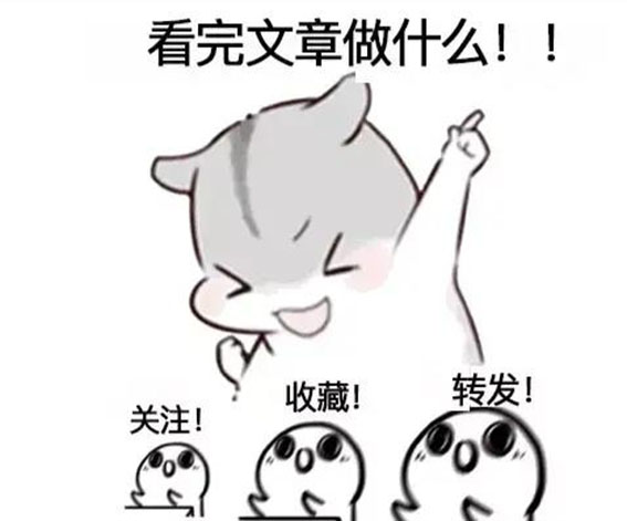 中国女足铿锵玫瑰值得所有的期待,铿锵玫瑰与中国女足