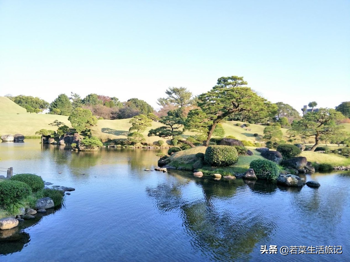 九州岛樱花,九州樱花之旅