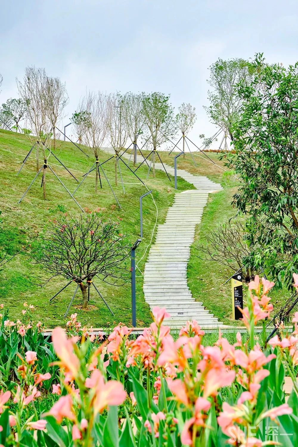 坐一趟4号线，打卡深圳19个热门游玩地！