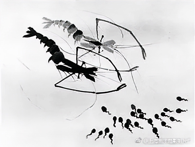 冬奥会宣传片齐天大圣,最新冬奥会宣传片