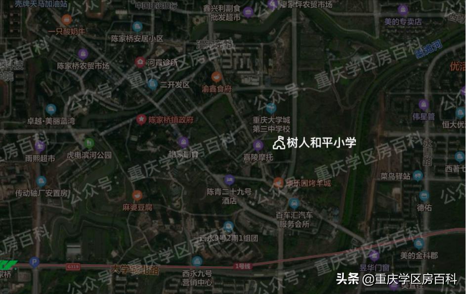 沙小、树人、七中！来看沙坪坝如何布局教育资源