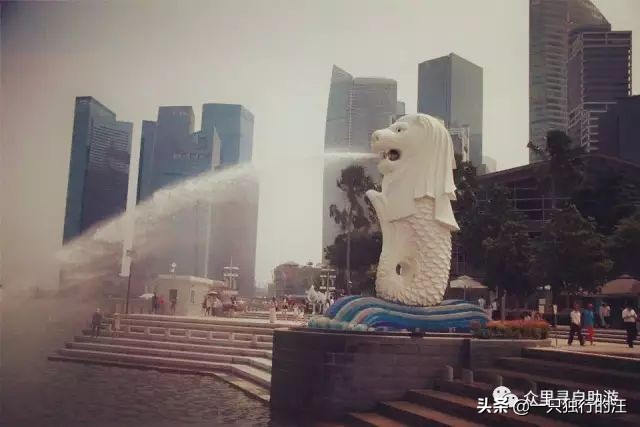 新加坡怎么玩必备攻略,新加坡的攻略