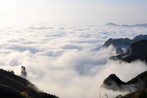 2018五毒月禁忌,2020年五毒月九毒日禁忌