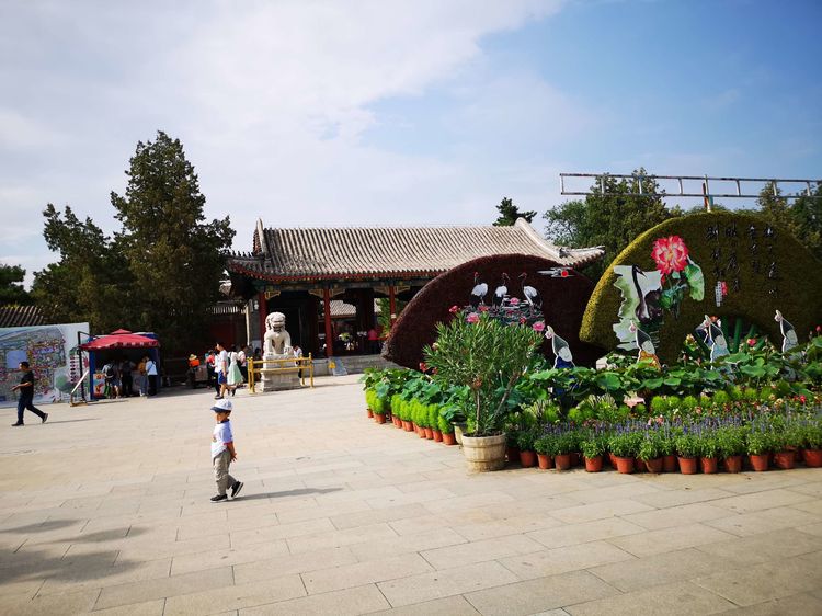 漫步北大校园,北大印象图片