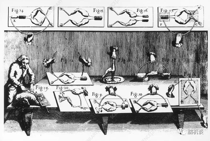 ​《脑机往事（3）—维达尔的秘密》
