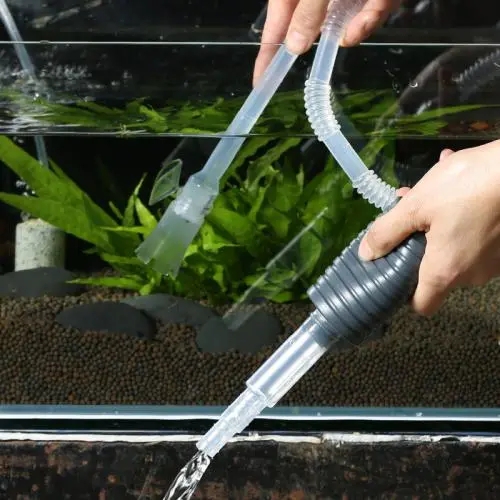 怎样去除鱼缸内壁污物,鱼缸底部脏东西循环不出去怎么弄