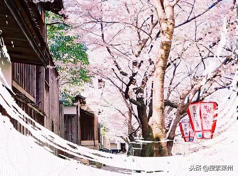 双十一没买省钱吗,双十一没买亏多少