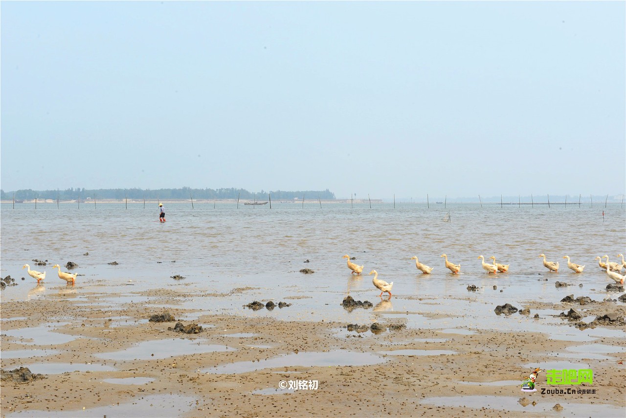 海滩怪石古渔村，名气不及三亚，但现在却越来越多东北人在此定居