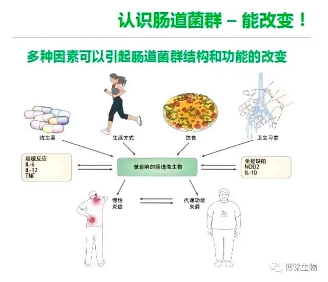 目前治疗二型糖尿病最前沿的方法,全世界治疗2型糖尿病最新方案