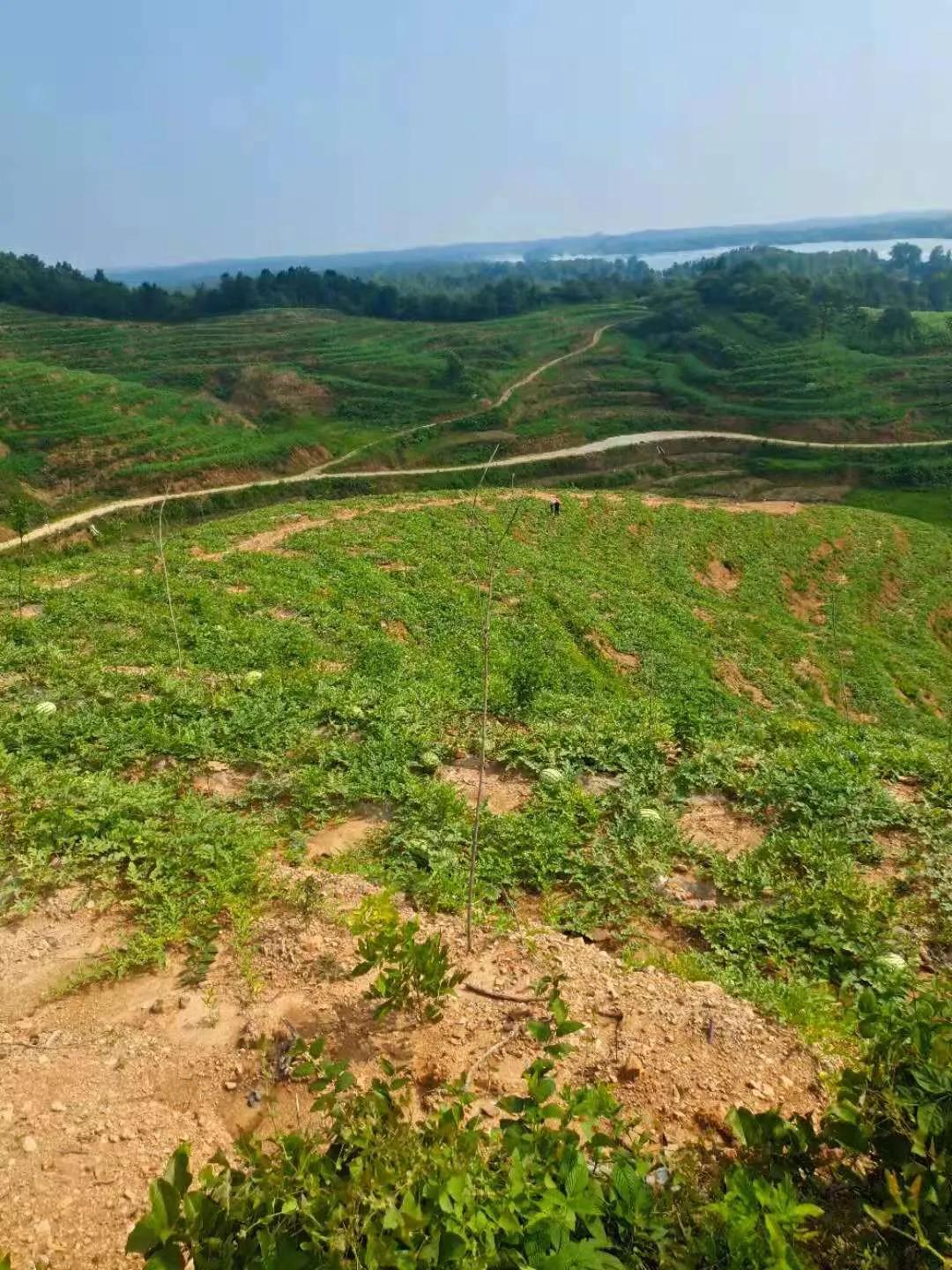 农民返乡,返乡潮之后农民如何过日子