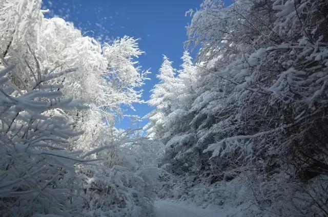 在宜昌的路上最美的风景,去感受大宜昌的美
