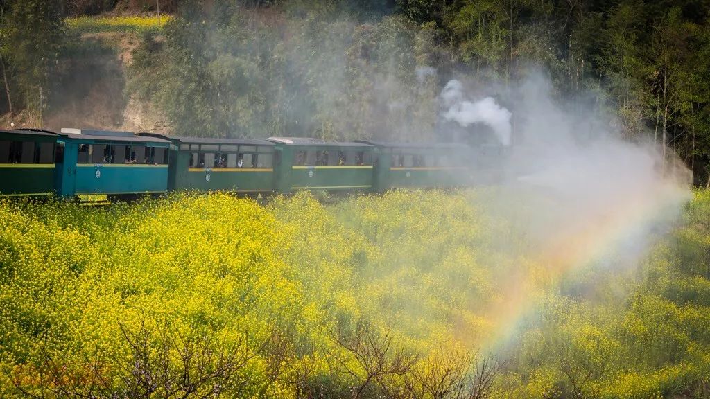 太美了开往春天的列车,这些开往春天的列车简直美呆了