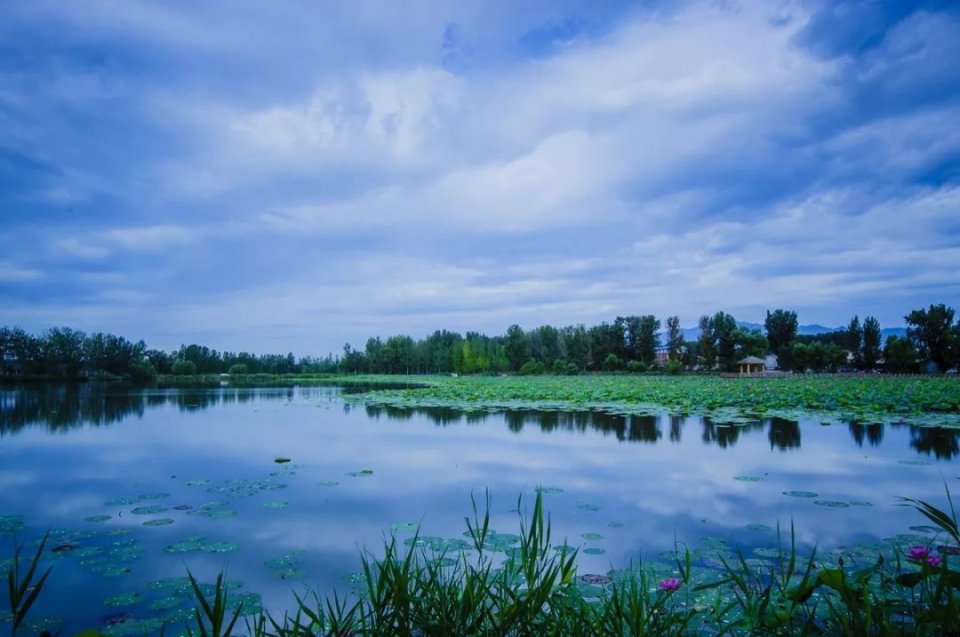 传疯了！北京第一美女找工作，简历惊呆全国！