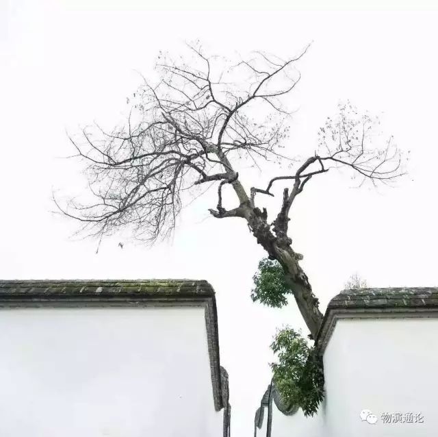 王东岳的物演通论是否算著作,有关物演通论王东岳的评论