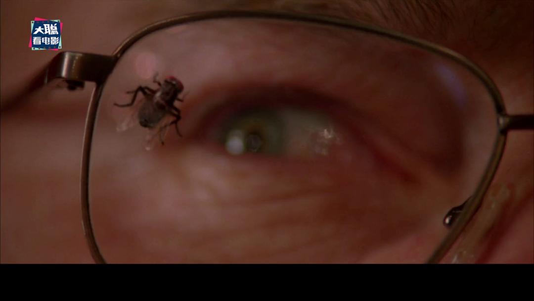 《隐秘的角落》象征含义和结局探讨，每个动物都有它的意义