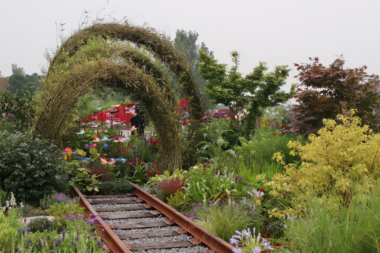 郑州值得打卡的免费公园,郑州网红打卡圣地蝶湖森林公园